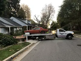 67 Stang.webp
