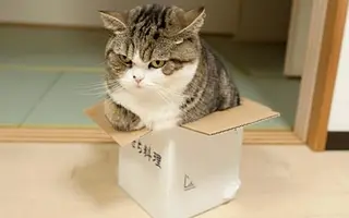 image-5.webp