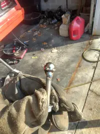 IMAG0380.webp