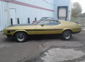 Mustang_8.webp