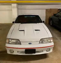 IMG-5047.webp
