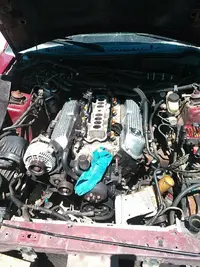 pic 8.webp