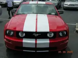 05gtnose.webp