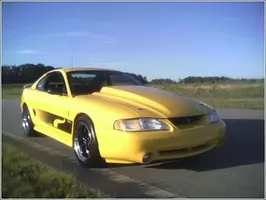 steeda30.webp