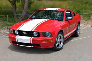 9thpony_800.webp