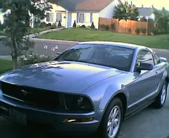 mustang005.webp