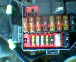 Image005.webp