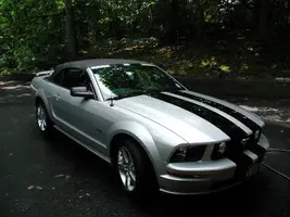 Stang pics 001.webp