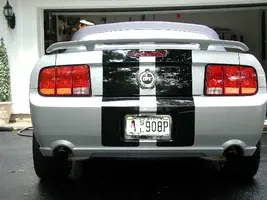 Stang pics 003.webp