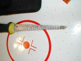 DSCN2425.webp