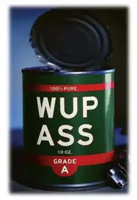 wupass.webp