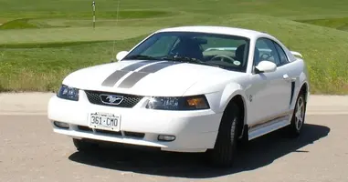 mustang 1.webp