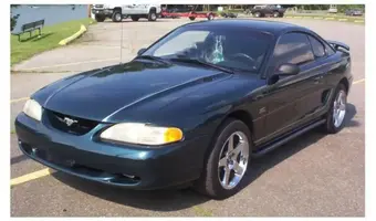 STANG-3b.webp