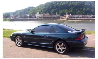 STANG-2a.webp