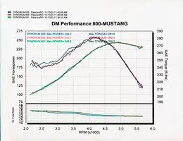 dyno4.webp