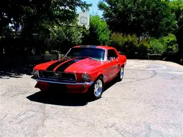 IMG_0416 (Large) (Small).webp