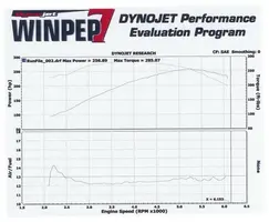 dyno 2.webp