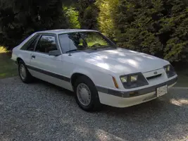 mustang.webp