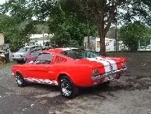 mustang 005.webp