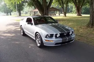 mustang 003.webp