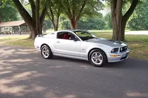 mustang 004.webp