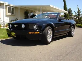mustang1.webp
