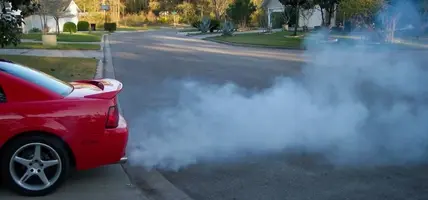 smoke.webp