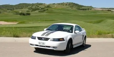 448mustang_3-med.webp