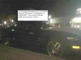 shelby4.webp