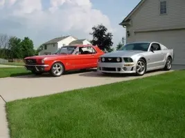 Mustangs.webp
