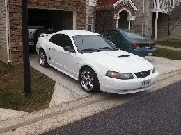 SADIE STANG 010.webp