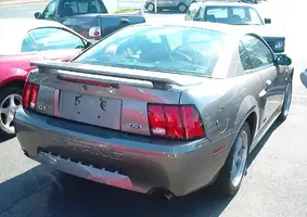 mustang.webp
