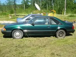 forum pic.webp