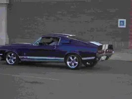shelbyclone.webp