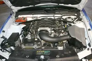 mustangr-00005.webp