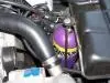 000_0156.webp