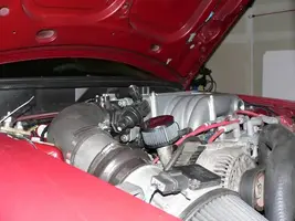 P1020417.webp