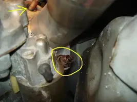bolt2.webp