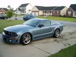 STANG1.1.webp