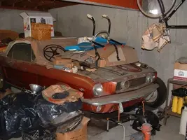 mustang1.webp