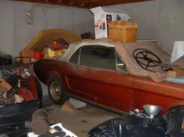 mustang2.webp