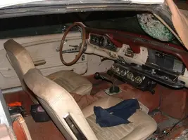 mustang3.webp