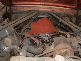 mustang4.webp