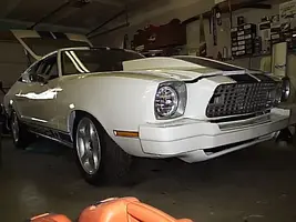 mustang painted 005.webp