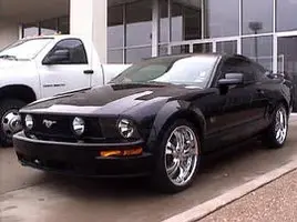 05' Black Badass Boss.webp