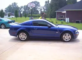 05stang.webp