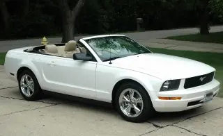 mustang0003.webp