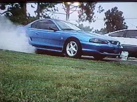 stang1.webp