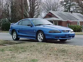 stang3.webp