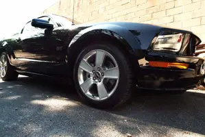06stang.webp